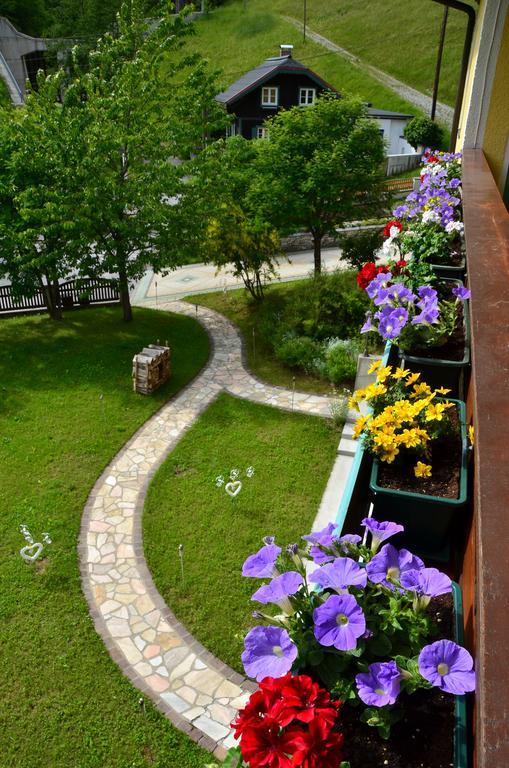 Haus Elisabeth Bed and Breakfast Mühlbach am Hochkönig Εξωτερικό φωτογραφία