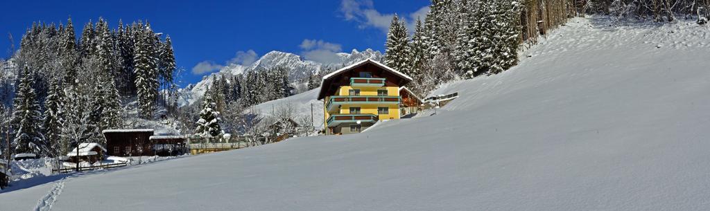 Haus Elisabeth Bed and Breakfast Mühlbach am Hochkönig Εξωτερικό φωτογραφία