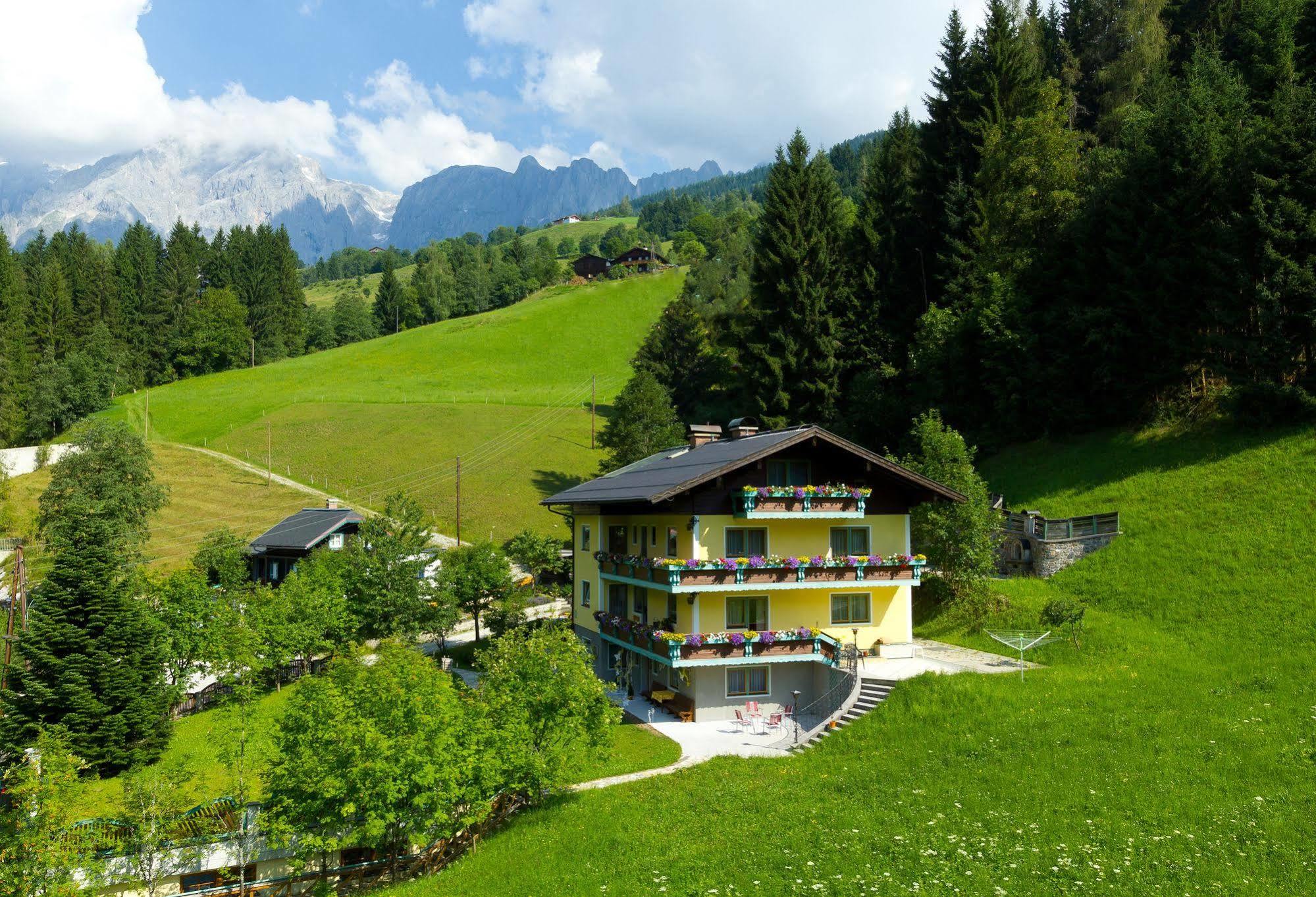 Haus Elisabeth Bed and Breakfast Mühlbach am Hochkönig Εξωτερικό φωτογραφία