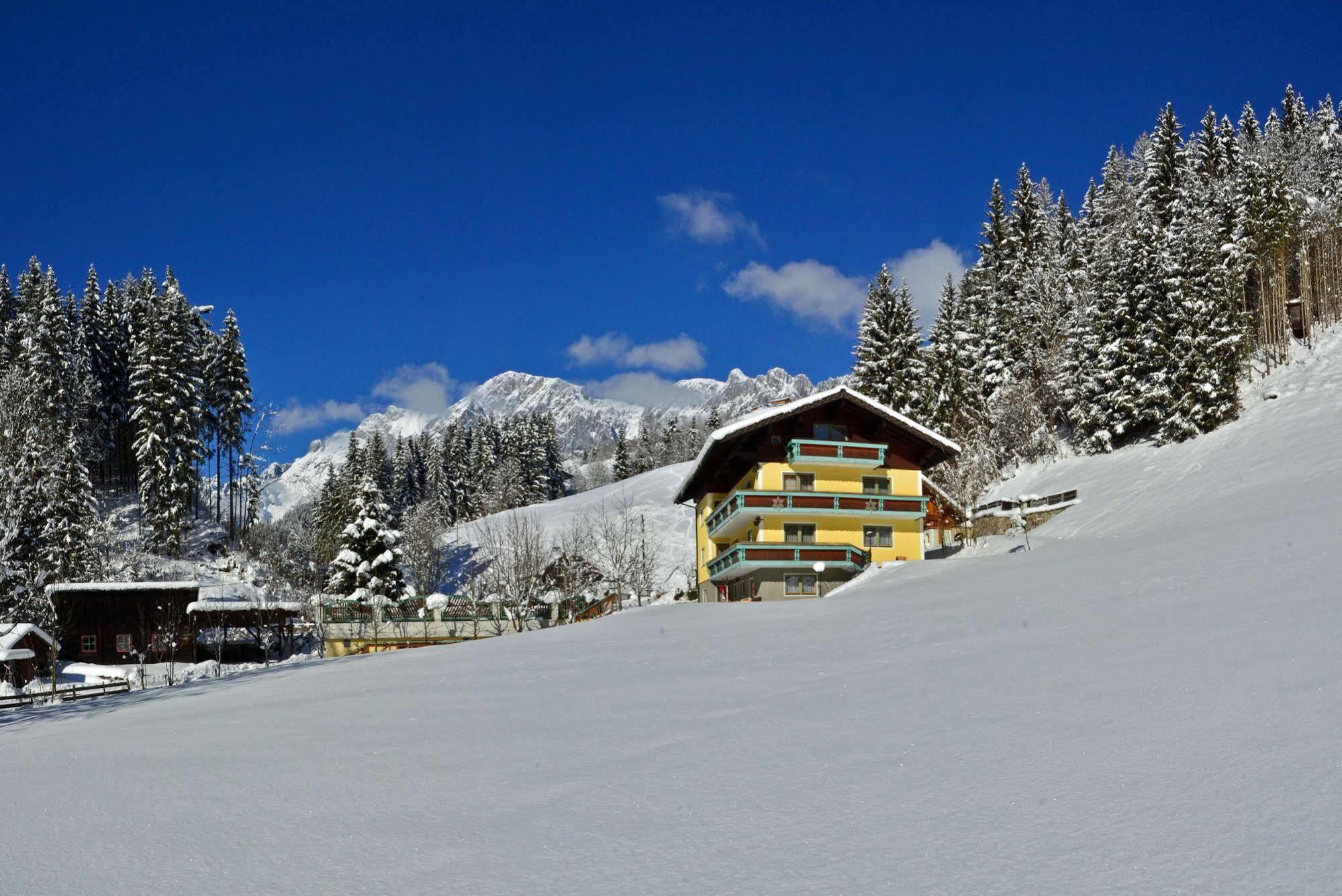 Haus Elisabeth Bed and Breakfast Mühlbach am Hochkönig Εξωτερικό φωτογραφία