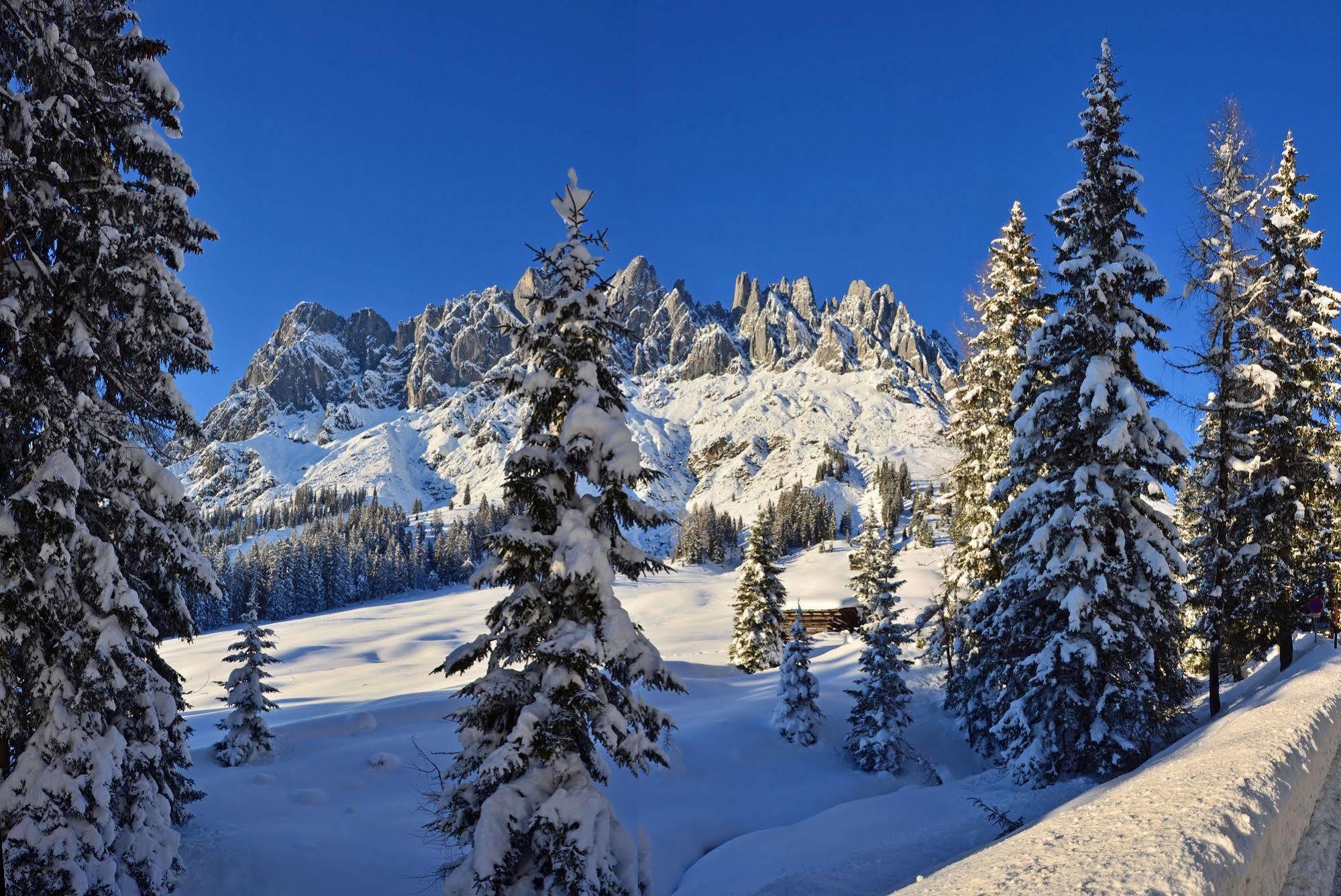Haus Elisabeth Bed and Breakfast Mühlbach am Hochkönig Εξωτερικό φωτογραφία