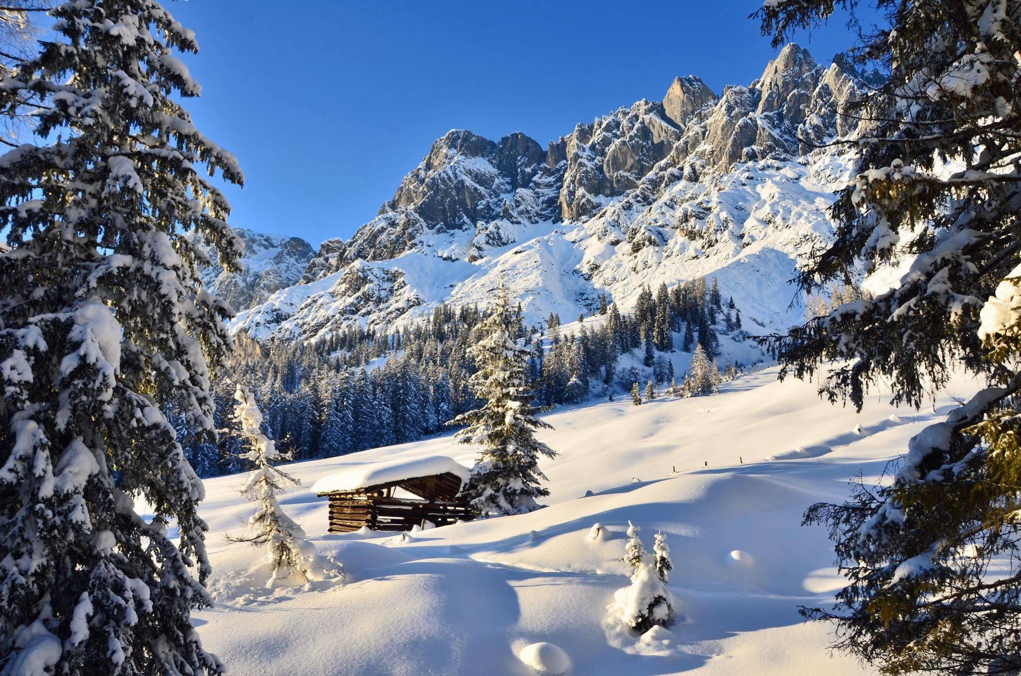Haus Elisabeth Bed and Breakfast Mühlbach am Hochkönig Εξωτερικό φωτογραφία